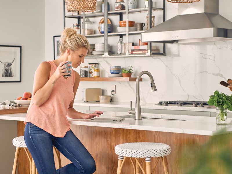 Moen Faucets